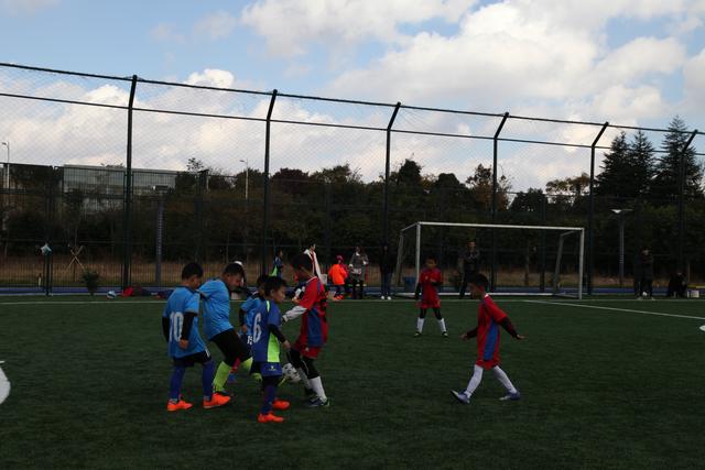 杨瀚森17+12青岛胜山东 范子铭24分首钢负山西